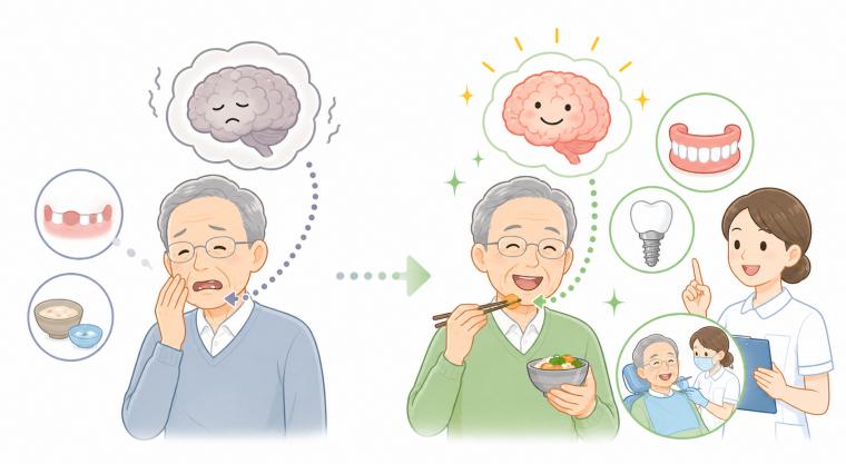 残存歯の本数と認知症リスクの真相：最新研究で解明