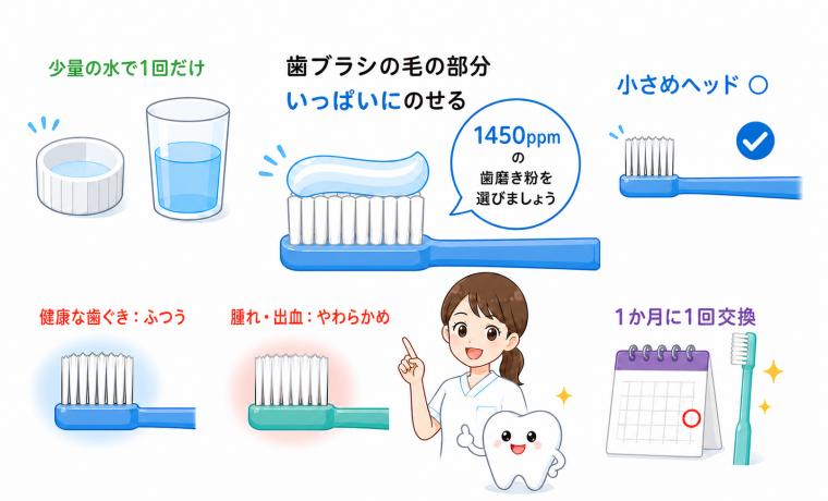 歯磨きの効果を高める！歯磨き粉の量と歯ブラシ選びのポイント